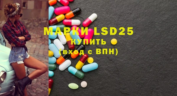 PSILOCYBIN Бугульма