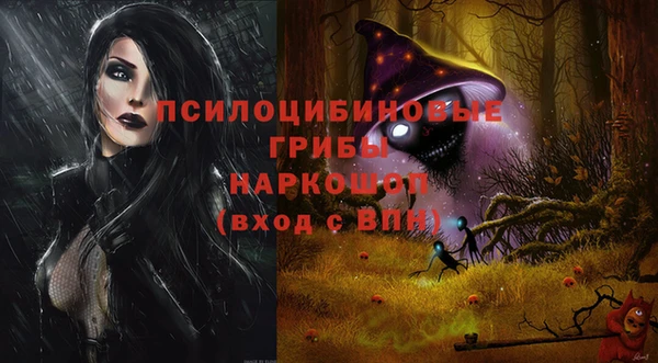 PSILOCYBIN Бугульма