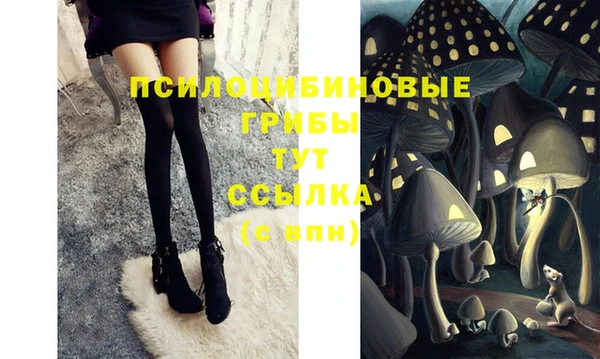 мет Бронницы