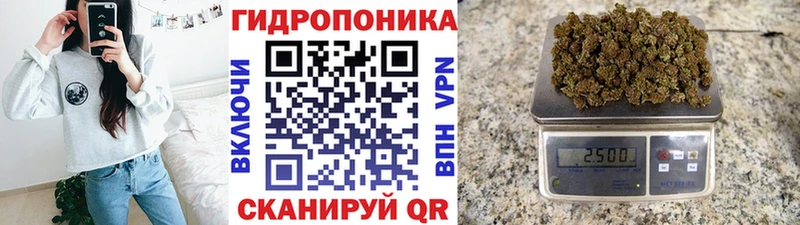 дарк нет как зайти Крым Бошки марихуана сатива